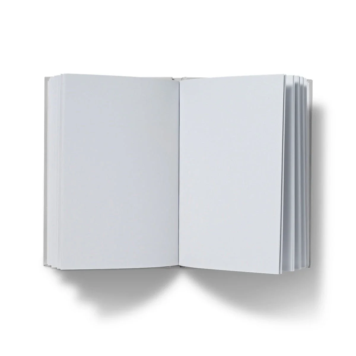 Joanne Short Art Hardback Notebook Journal. Tresco Abbey Gardens, Cornwall. - Image 6