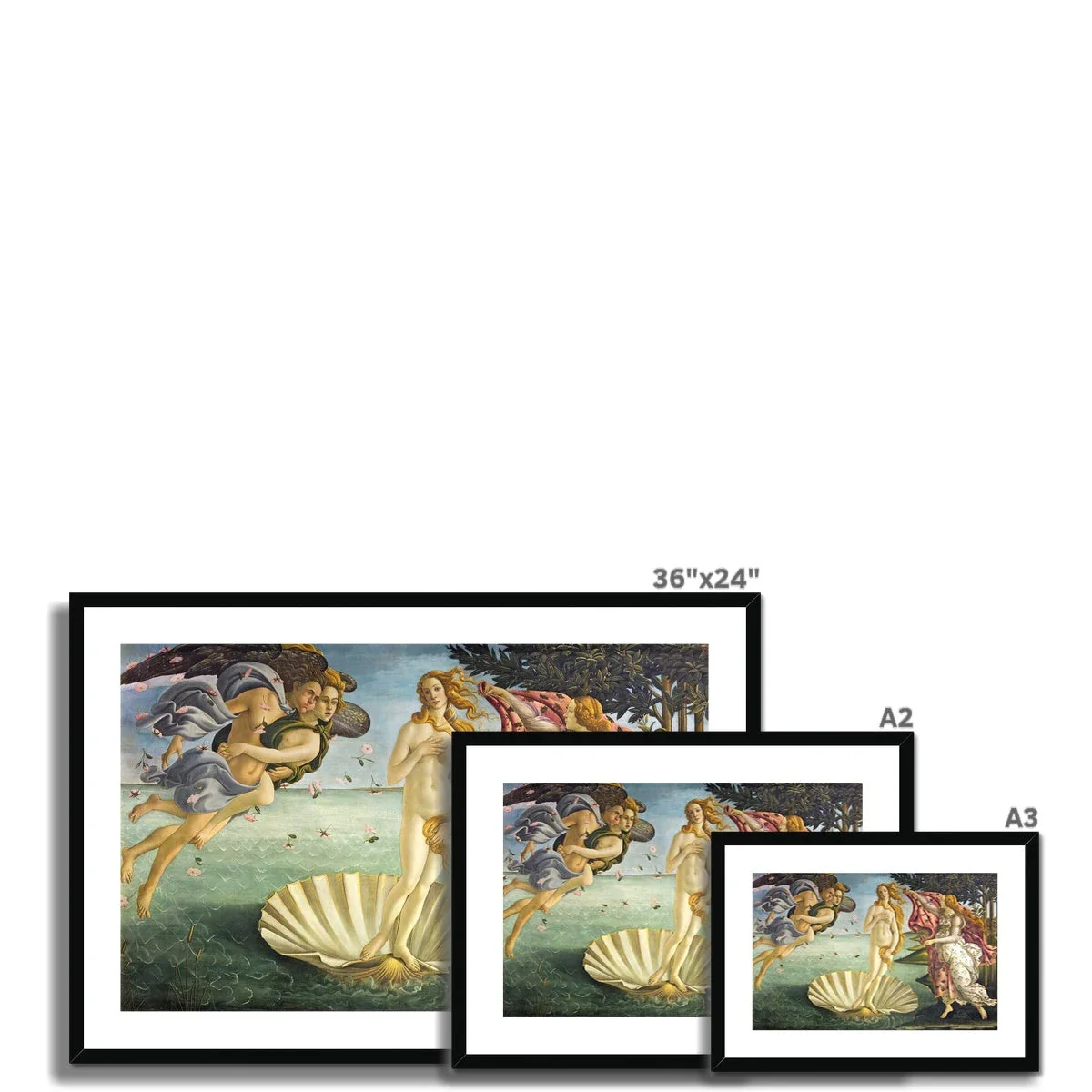 'Birth of Venus' by Sandro Botticelli. Framed Open Edition Fine Art Print. Historic Art - Image 5