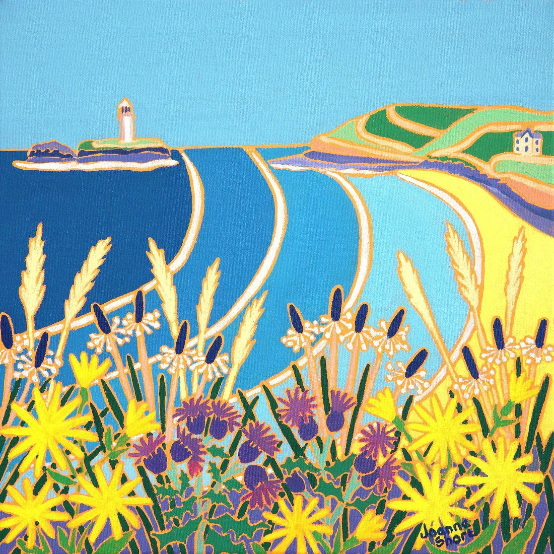 'Wild Flowers on the Cliff, Godrevy'. 12x12 inches oil on canvas. Paintings of Cornwall by Cornish Artist Joanne Short from our Cornwall Art Gallery