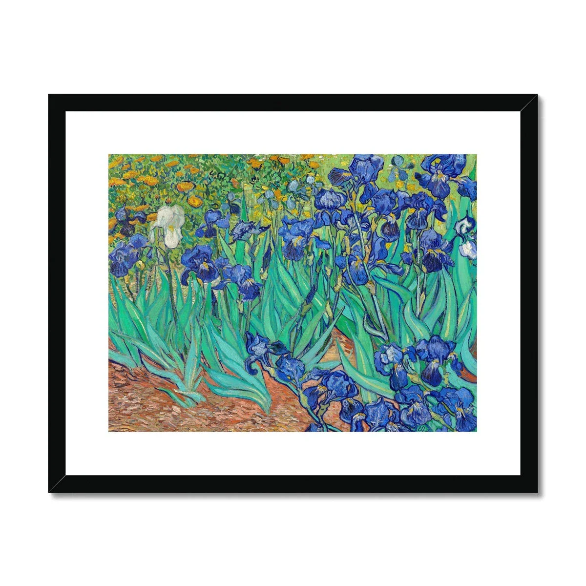 Vincent Van Gogh Framed Open Edition Art Print. 'Irises'. Garden Flowers. Art Gallery Historic Art - Image 2