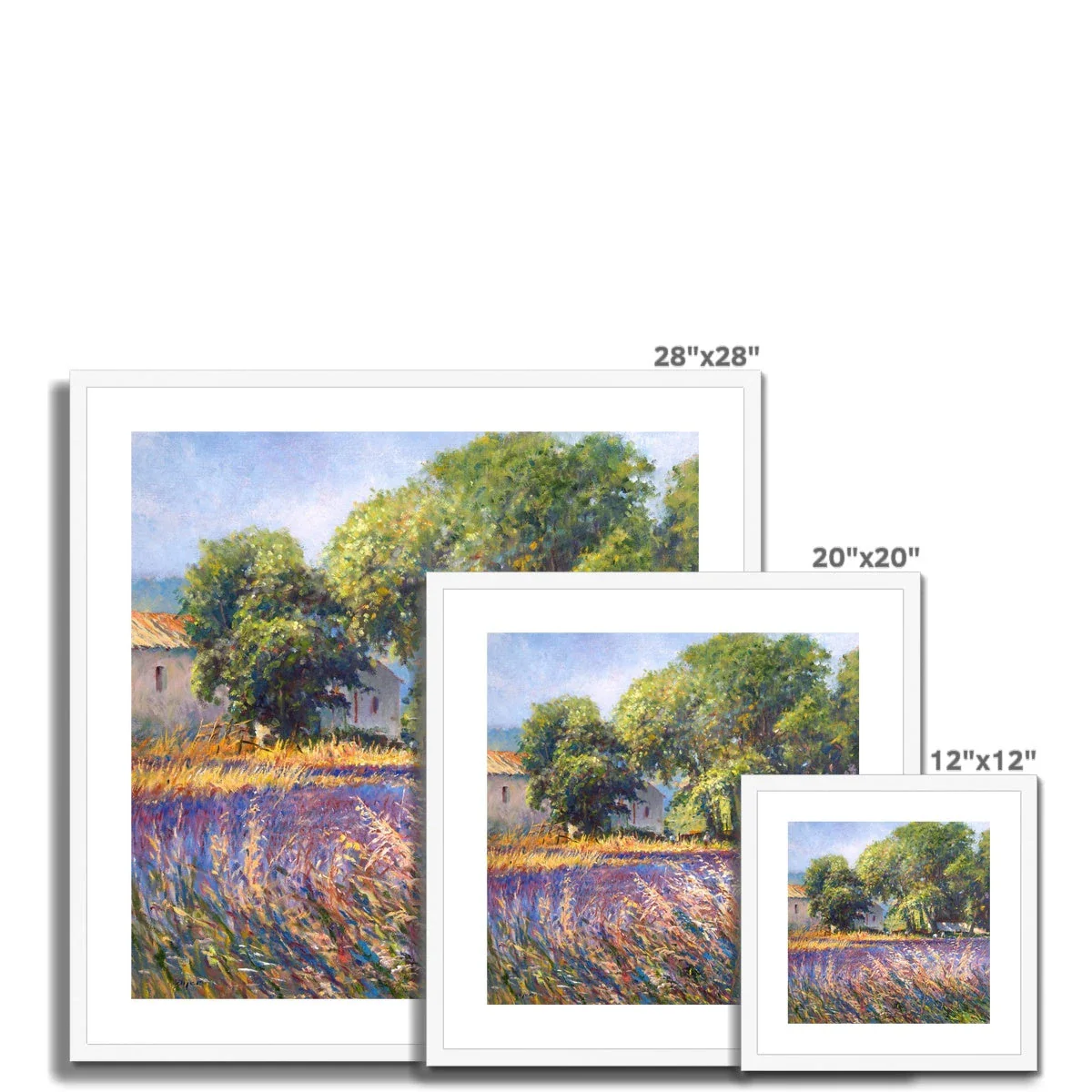 Ted Dyer Framed Open Edition Cornish Fine Art Print. 'Lavender Time, Provence'. French Art Gallery - Image 4
