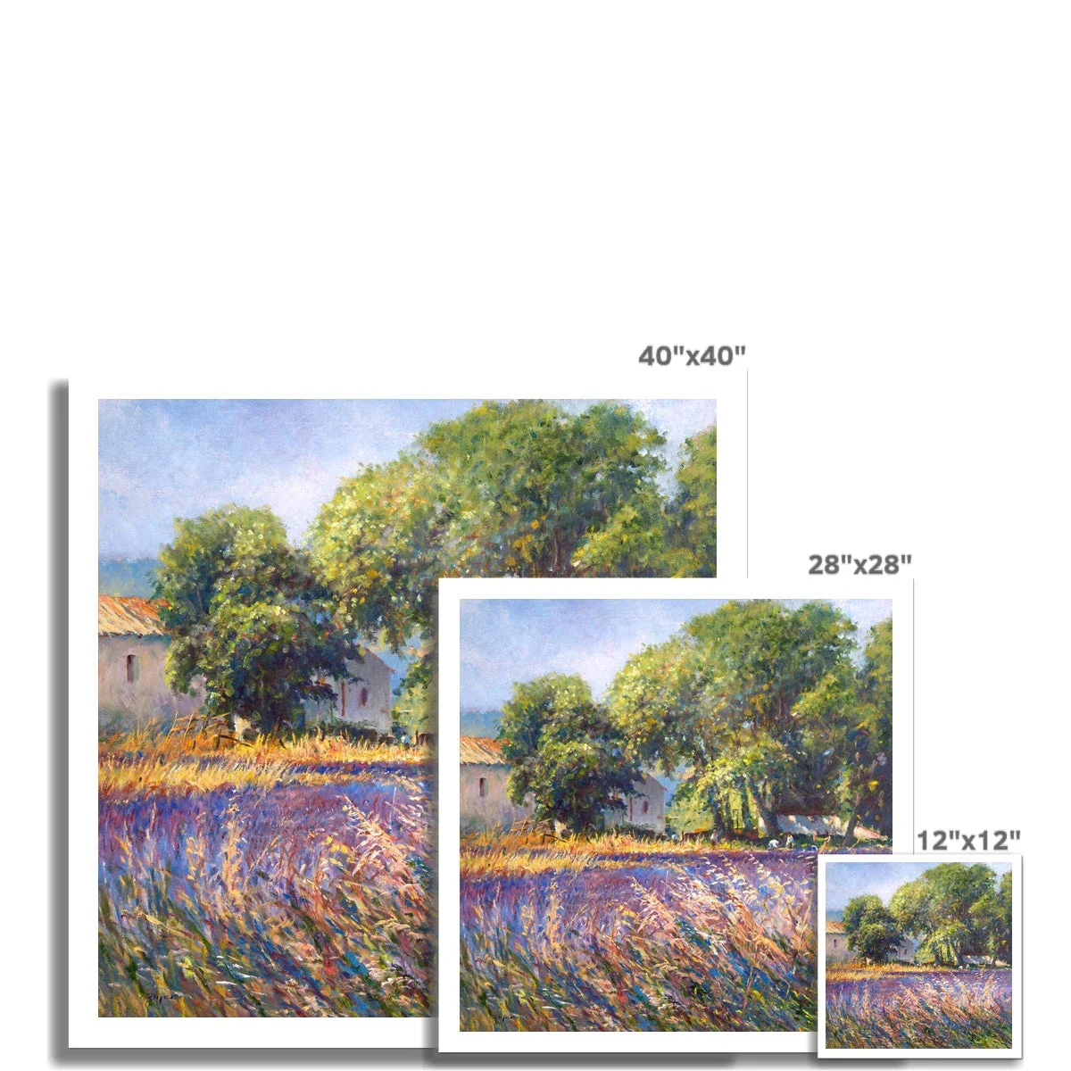 Ted Dyer Fine Art Print. Open Edition French Art Print. 'Lavender Time, Provence'. French Art Gallery - Image 3