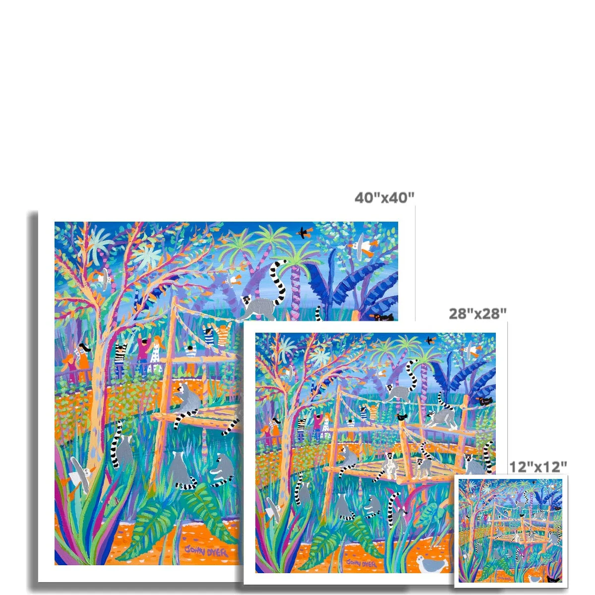 John Dyer Ring Tailed Lemurs, Open Edition Fine Art Print. Animal Art Prints - Image 3