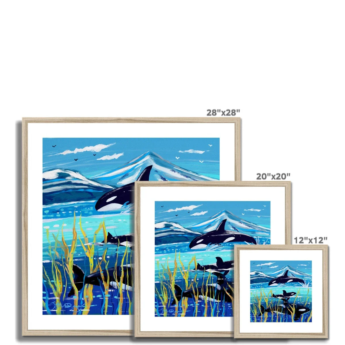 John Dyer Orca - Killer Whale Framed Open Edition Ocean Fine Art Print. Animal Art Prints - Image 12